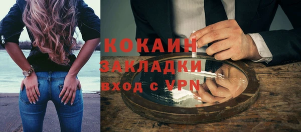шишки Алексин
