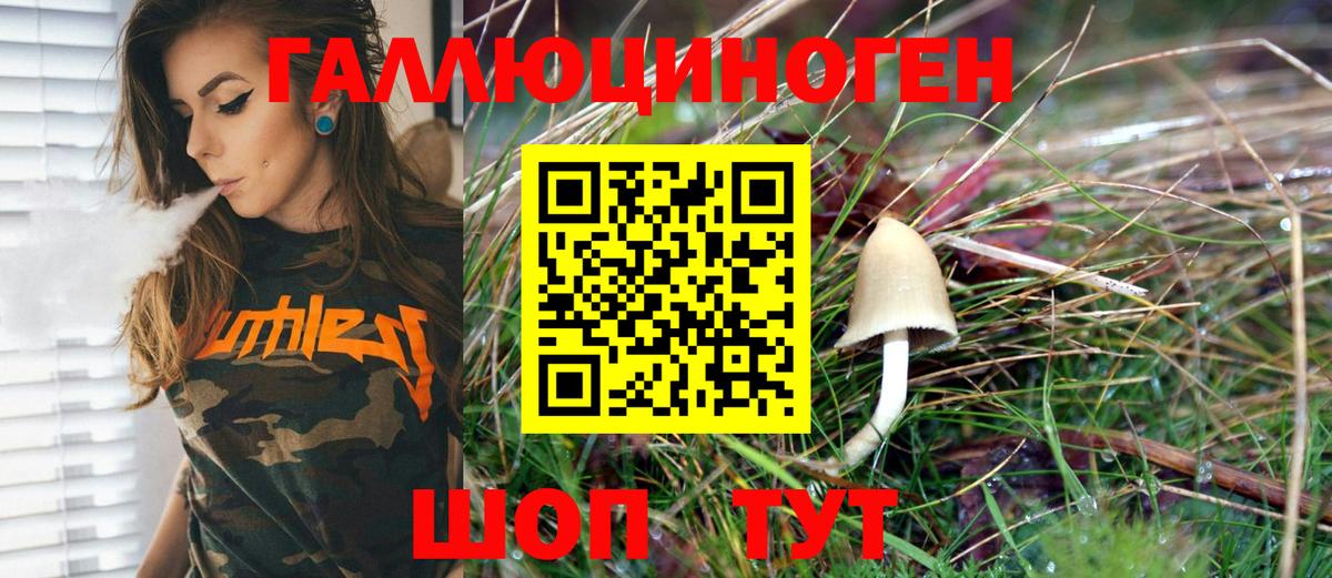 Галлюциногенные грибы MAGIC MUSHROOMS  Вход с VPN  Лиски 